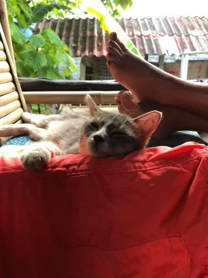 Angel Lanta Bungalow Ko Lanta Exteriér fotografie